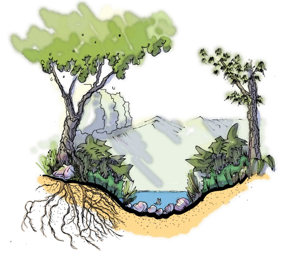 reforestation clipart fish